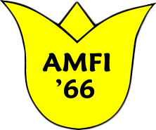 Amfi 66